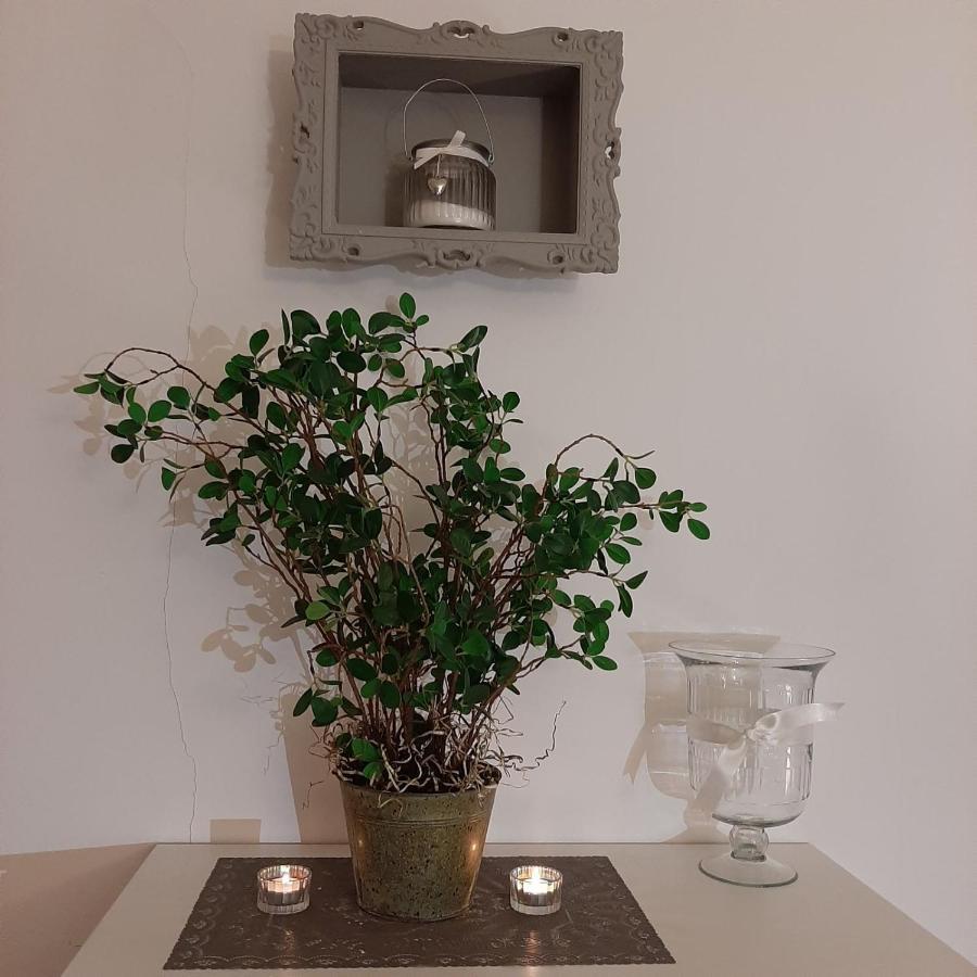 Apartment Lautus Μαριμπόρ Εξωτερικό φωτογραφία